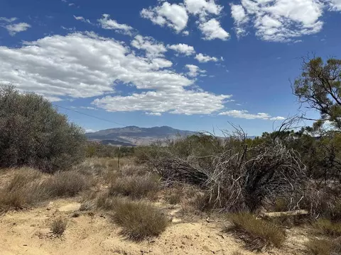 59125 Rimrock Canyon Rd, Anza, CA 92539
