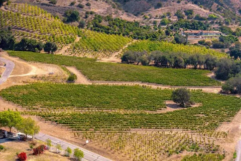 1 Via Horca, Temecula, CA 92590