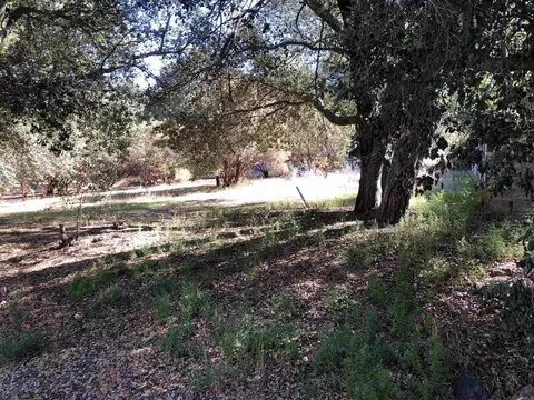 8347 Foothill Blvd, Pine Valley, CA 91962