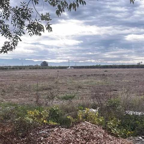 39088 Road 104 Dinuba Ca Rd, Dinuba, CA 93618