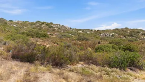 20 Buckman Springs Rd, Campo, CA 91906