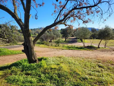 Exterior - 616 Alpine Heights-20acres, Alpine, CA 91901 photo 16 of 24