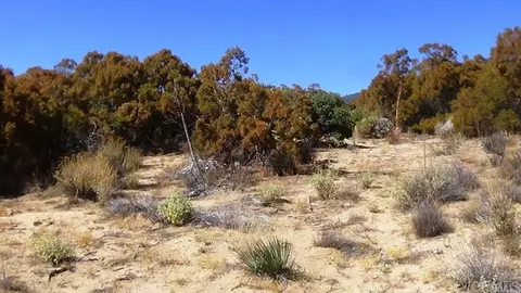 37245 Old Forest Rd, Anza, CA 92539 photo 11