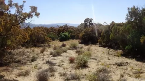 37245 Old Forest Rd, Anza, CA 92539 photo 7