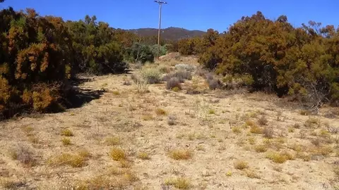 37245 Old Forest Rd, Anza, CA 92539 photo 41