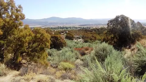 37245 Old Forest Rd, Anza, CA 92539 photo 18
