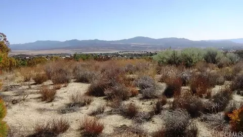 37245 Old Forest Rd, Anza, CA 92539 photo 24