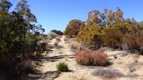 37245 Old Forest Rd, Anza, CA 92539 photo 17