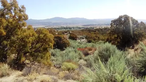 37245 Old Forest Rd, Anza, CA 92539 photo 19