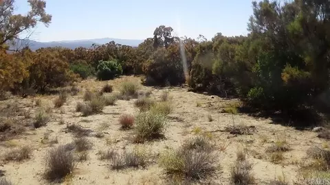 37245 Old Forest Rd, Anza, CA 92539 photo 8