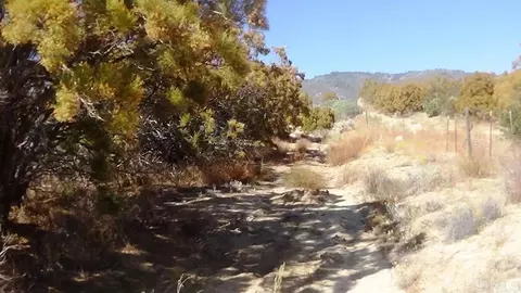 37245 Old Forest Rd, Anza, CA 92539 photo 6