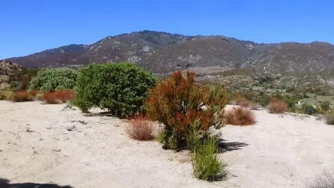37245 Old Forest Rd, Anza, CA 92539 photo 21