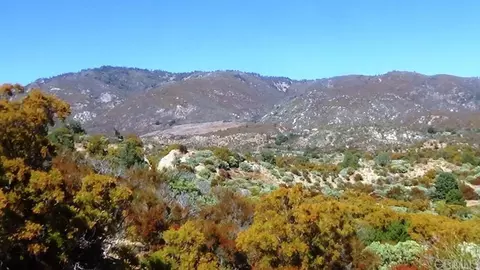 37245 Old Forest Rd, Anza, CA 92539 photo 16
