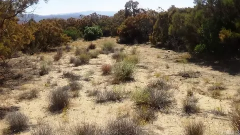 37245 Old Forest Rd, Anza, CA 92539 photo 9