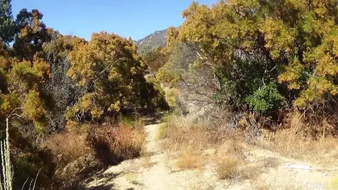 37245 Old Forest Rd, Anza, CA 92539 photo 27