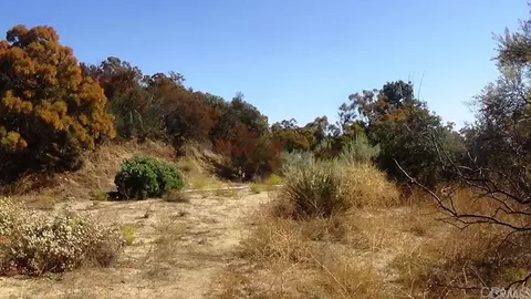 37245 Old Forest Rd, Anza, CA 92539 photo 31