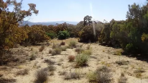 37245 Old Forest Rd, Anza, CA 92539 photo 10