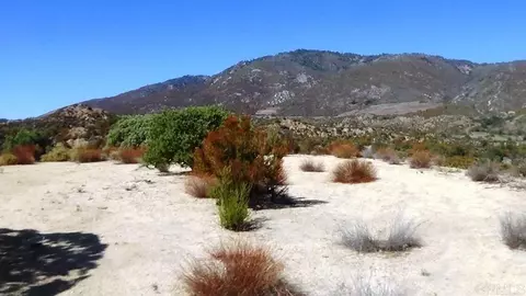 37245 Old Forest Rd, Anza, CA 92539 photo 2