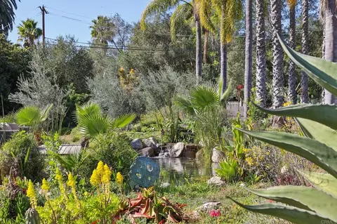 Exterior - 1761 Winterwarm Dr, Fallbrook, CA 92028 photo 5 of 26