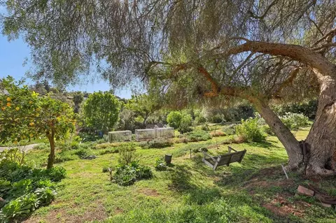 Exterior - 1761 Winterwarm Dr, Fallbrook, CA 92028 photo 14 of 26