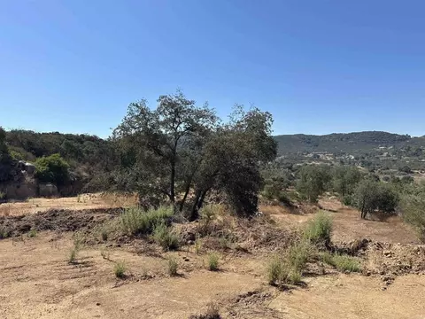 16223 Lawson Valley Rd, Jamul, CA 91935