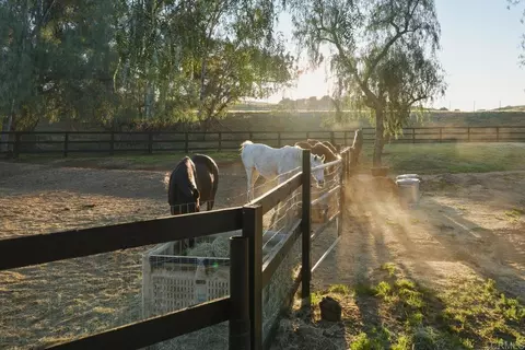 Other - 20655 Sutherland Dam Rd, Ramona, CA 92065 photo 23 of 30