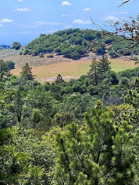 Other - 2341 Pinezanita Ln, Julian, CA 92036 photo 3 of 9