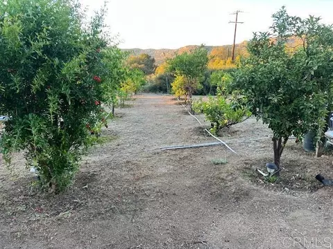 2526 Forest Park Rd, Jamul, CA 91935 photo 5