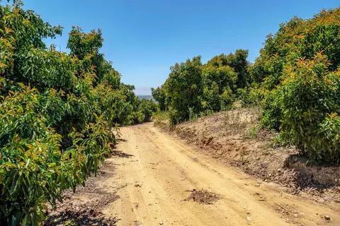 45000 Rancho Fallbrook Rd, Temecula, CA 92590 photo 33