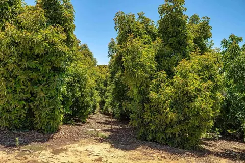 45000 Rancho Fallbrook Rd, Temecula, CA 92590 photo 32
