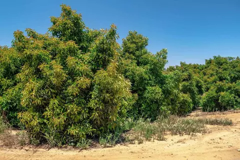 45000 Rancho Fallbrook Rd, Temecula, CA 92590 photo 34