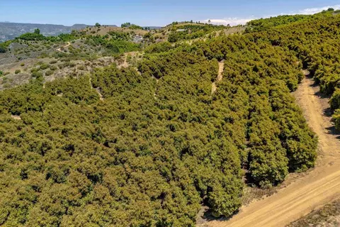 45000 Rancho Fallbrook Rd, Temecula, CA 92590 photo 20