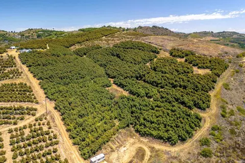 45000 Rancho Fallbrook Rd, Temecula, CA 92590 photo 23