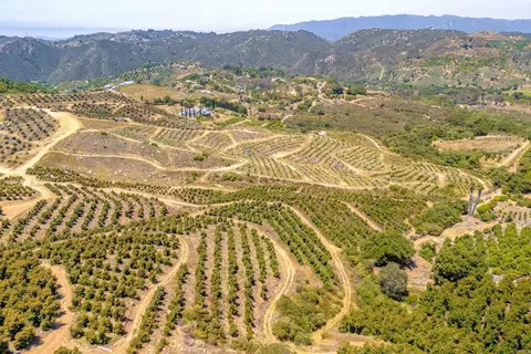 45000 Rancho Fallbrook Rd, Temecula, CA 92590 photo 24
