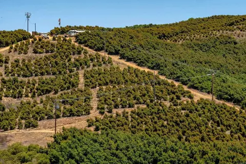 45000 Rancho Fallbrook Rd, Temecula, CA 92590 photo 30