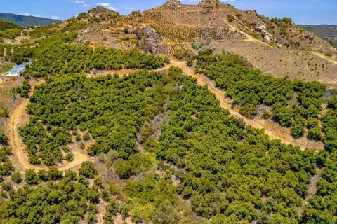 1 Los Gatos Rd, Temecula, CA 92590