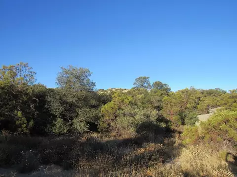 29 Old Highway 80, Boulevard, CA 91905 photo 8