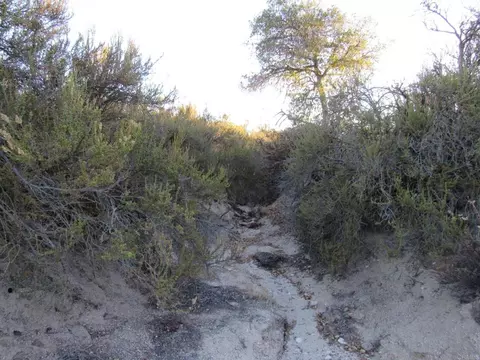 109 Highway 94, Boulevard, CA 91905 photo 5
