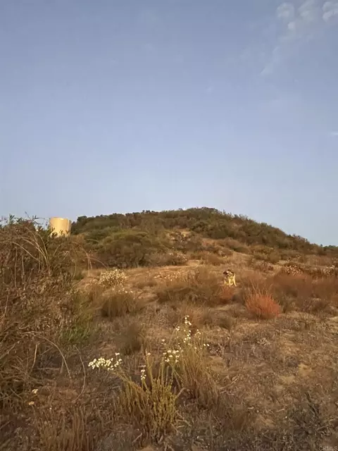 15215 Lyons Valley Rd, Jamul, CA 91935 photo 19