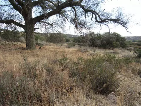Other - 33530 Highway 94, Campo, CA 91906 photo 3 of 5