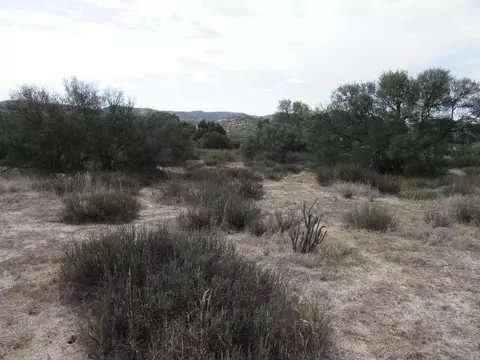 Other - 33530 Highway 94, Campo, CA 91906 photo 4 of 5