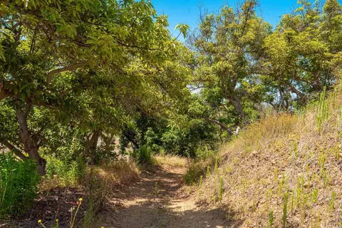 44867 Via Horca, Temecula, CA 92590 photo 28