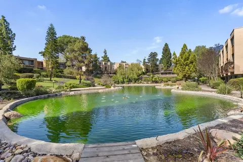 View/Area - 5700 Baltimore Dr #66, La Mesa, CA 91942 photo 6 of 13