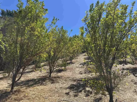 45481 Camaron Rd, Temecula, CA 92590 photo 14