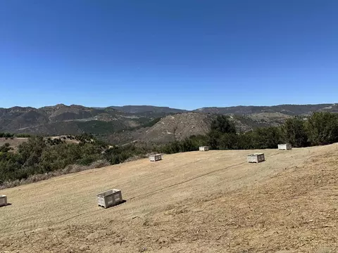 45481 Camaron Rd, Temecula, CA 92590 photo 12