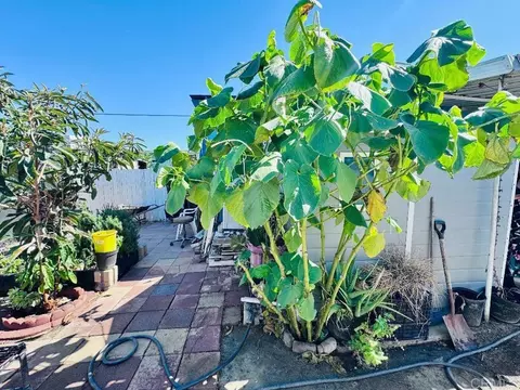 3173 Bancroft Dr #42, Spring Valley, CA 91977 photo 12