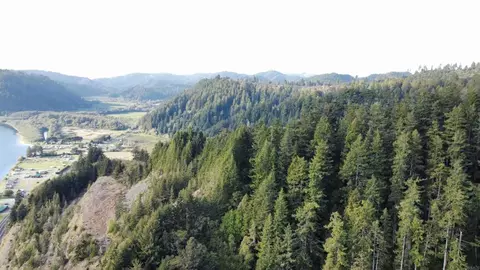 View/Area - 131 Salmon Ave, Klamath, CA 95548 photo 4 of 4