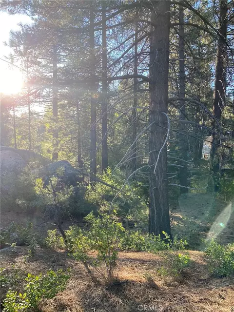 0 Cienega Rd, Big Bear, CA 92315