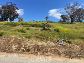 19 Lash Ave, Lake Elsinore, CA 92530