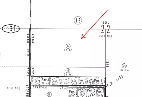 33255 Minneola Rd, Newberry Springs, CA 92365
